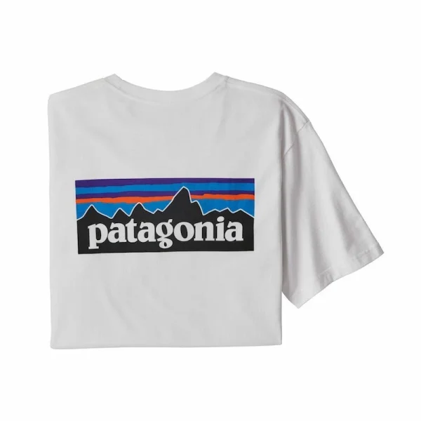 Coupon ⭐ Patagonia P-6 Logo Responsibili-Tee – T-shirt homme 🧨 5