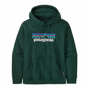 Acheter ⭐ Patagonia P-6 Logo Uprisal Hoody – Sweat à capuche homme 💯 8