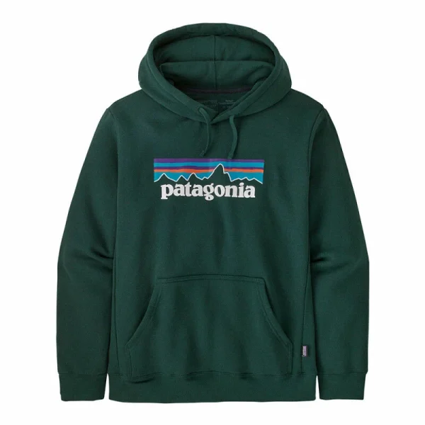 Acheter ⭐ Patagonia P-6 Logo Uprisal Hoody – Sweat à capuche homme 💯 3